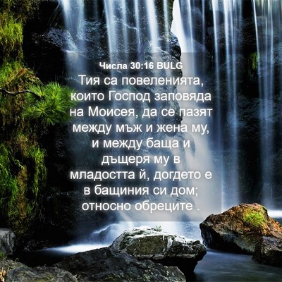 Picture 04 - Числа 30:16 BULG - Тия са повеленията, които - Bible Verse Picture