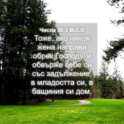 Picture 04 - Числа 30:3 BULG - Тоже, ако някоя жена - Bible Verse Picture