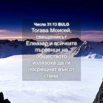 Picture 04 - Числа 31:13 BULG - Тогава Моисей, свещеникът - Bible Verse Picture