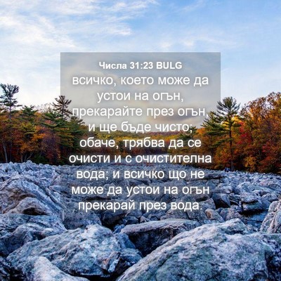 Picture 04 - Числа 31:23 BULG - всичко, което може да устои - Bible Verse Picture