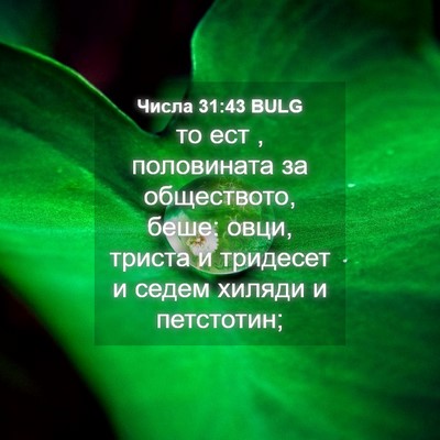 Picture 04 - Числа 31:43 BULG - то ест , половината за - Bible Verse Picture