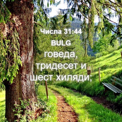Picture 04 - Числа 31:44 BULG - говеда, тридесет и шест - Bible Verse Picture