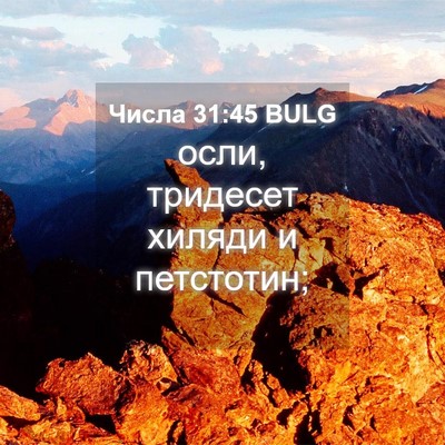 Picture 04 - Числа 31:45 BULG - осли, тридесет хиляди и - Bible Verse Picture