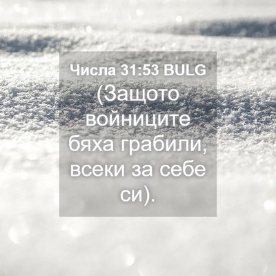 Picture 04 - Числа 31:53 BULG - (Защото войниците бяха - Bible Verse Picture