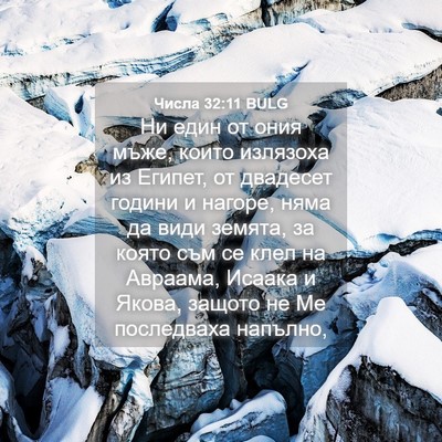 Picture 04 - Числа 32:11 BULG - Ни един от ония мъже, които - Bible Verse Picture