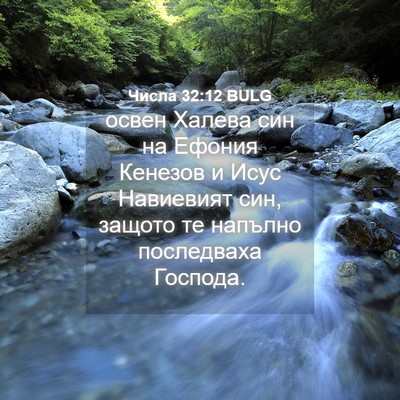 Picture 04 - Числа 32:12 BULG - освен Халева син на Ефония - Bible Verse Picture