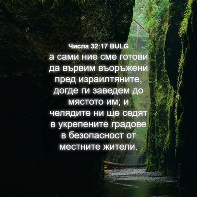 Picture 04 - Числа 32:17 BULG - а сами ние сме готови да - Bible Verse Picture