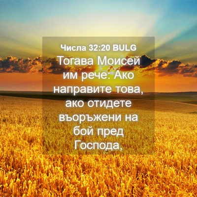 Picture 04 - Числа 32:20 BULG - Тогава Моисей им рече: Ако - Bible Verse Picture