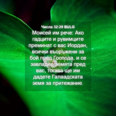 Picture 04 - Числа 32:29 BULG - Моисей им рече: Ако гадците - Bible Verse Picture
