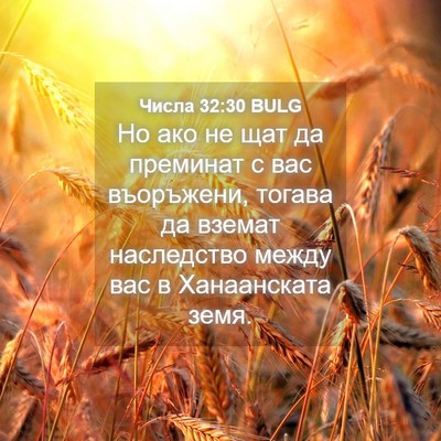 Picture 04 - Числа 32:30 BULG - Но ако не щат да преминат с - Bible Verse Picture