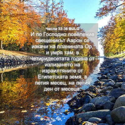 Picture 04 - Числа 33:38 BULG - И по Господно повеление - Bible Verse Picture