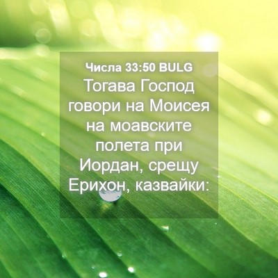 Picture 04 - Числа 33:50 BULG - Тогава Господ говори на - Bible Verse Picture
