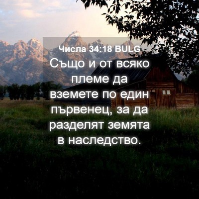 Picture 04 - Числа 34:18 BULG - Също и от всяко племе да - Bible Verse Picture