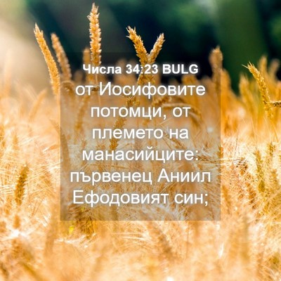 Picture 04 - Числа 34:23 BULG - от Иосифовите потомци, от - Bible Verse Picture