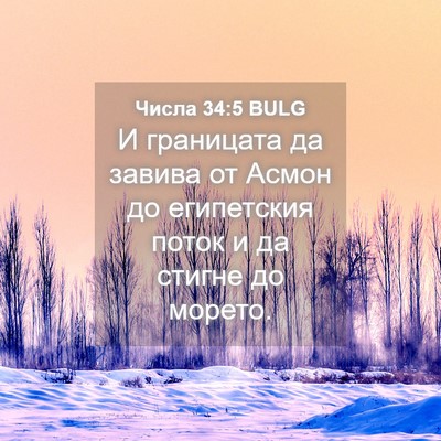 Picture 04 - Числа 34:5 BULG - И границата да завива от - Bible Verse Picture