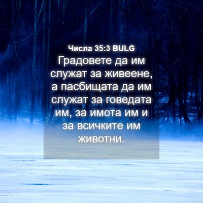 Picture 04 - Числа 35:3 BULG - Градовете да им служат за - Bible Verse Picture