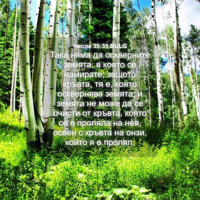 Picture 04 - Числа 35:33 BULG - Така няма да оскверните - Bible Verse Picture