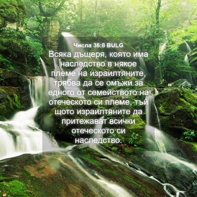 Picture 04 - Числа 36:8 BULG - Всяка дъщеря, която има - Bible Verse Picture