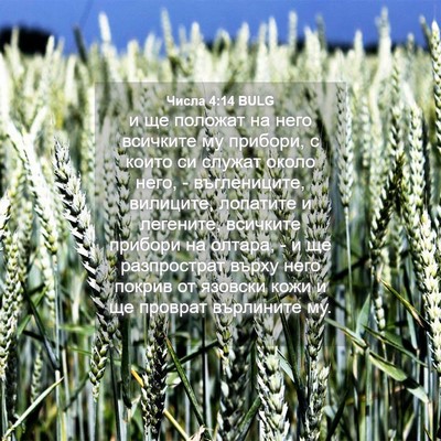 Picture 04 - Числа 4:14 BULG - и ще положат на него - Bible Verse Picture