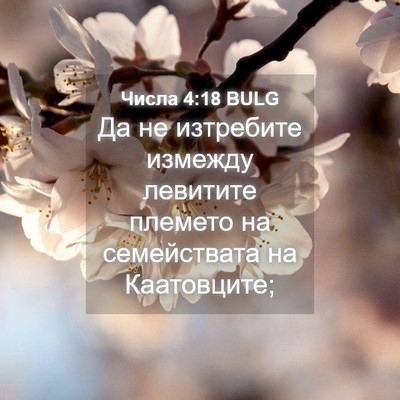Picture 04 - Числа 4:18 BULG - Да не изтребите измежду - Bible Verse Picture