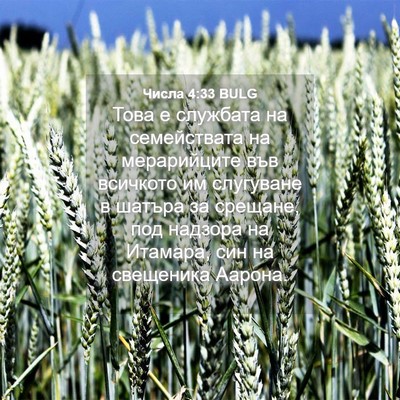 Picture 04 - Числа 4:33 BULG - Това е службата на - Bible Verse Picture