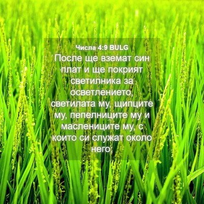 Picture 04 - Числа 4:9 BULG - После ще вземат син плат и - Bible Verse Picture