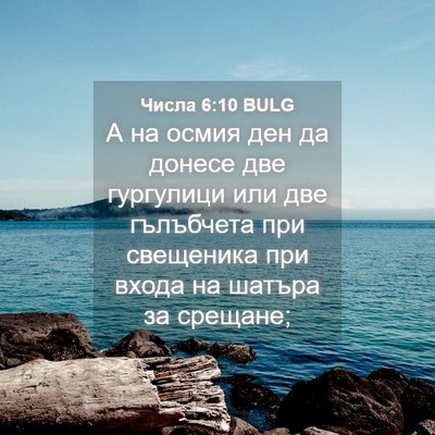 Picture 04 - Числа 6:10 BULG - А на осмия ден да донесе - Bible Verse Picture