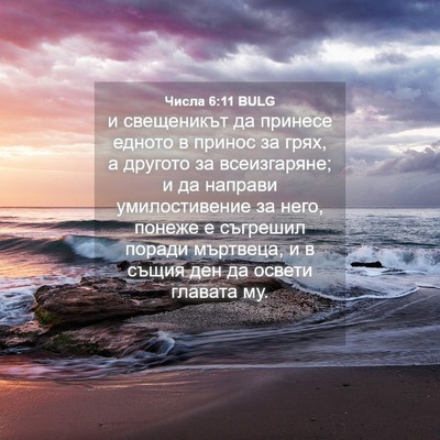Picture 04 - Числа 6:11 BULG - и свещеникът да принесе - Bible Verse Picture