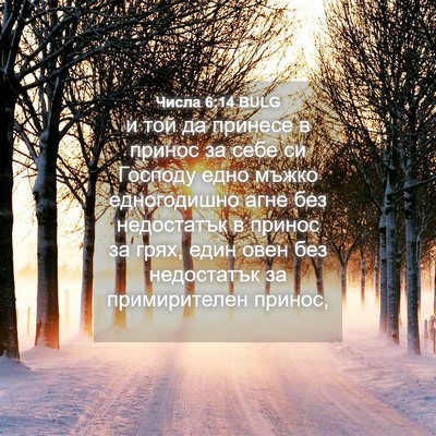 Picture 04 - Числа 6:14 BULG - и той да принесе в принос - Bible Verse Picture