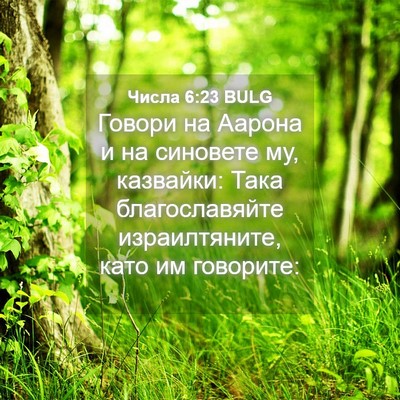 Picture 04 - Числа 6:23 BULG - Говори на Аарона и на - Bible Verse Picture