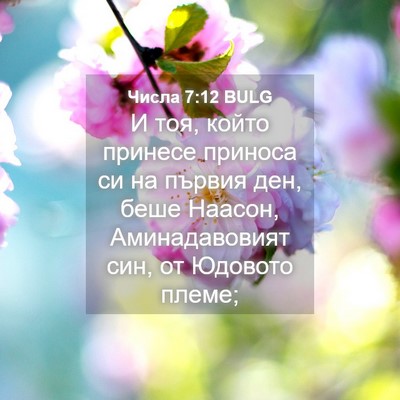 Picture 04 - Числа 7:12 BULG - И тоя, който принесе - Bible Verse Picture