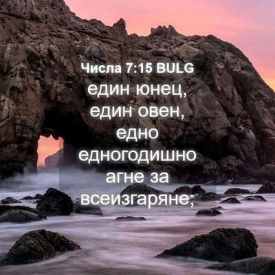 Picture 04 - Числа 7:15 BULG - един юнец, един овен, едно - Bible Verse Picture