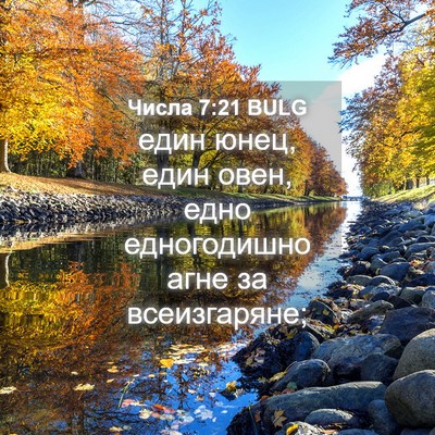 Picture 04 - Числа 7:21 BULG - един юнец, един овен, едно - Bible Verse Picture