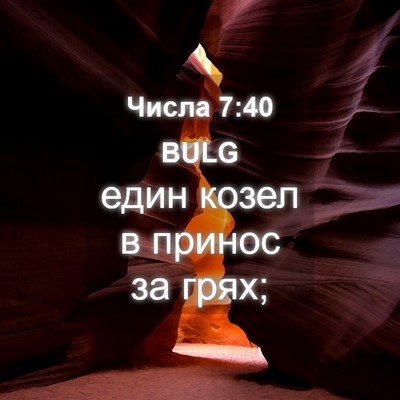 Picture 04 - Числа 7:40 BULG - един козел в принос за - Bible Verse Picture