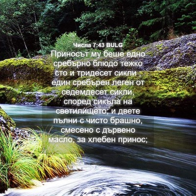 Picture 04 - Числа 7:43 BULG - Приносът му беше едно - Bible Verse Picture