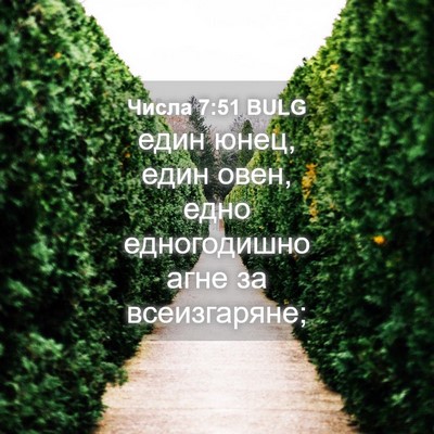 Picture 04 - Числа 7:51 BULG - един юнец, един овен, едно - Bible Verse Picture