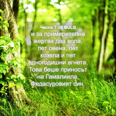 Picture 04 - Числа 7:59 BULG - и за примирителна жертва - Bible Verse Picture