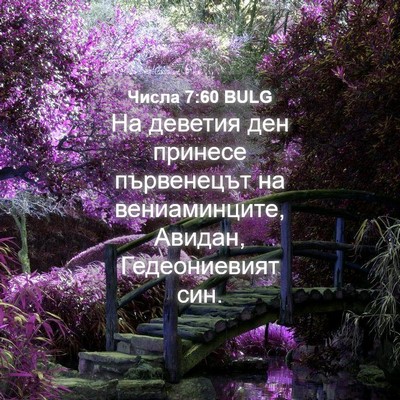 Picture 04 - Числа 7:60 BULG - На деветия ден принесе - Bible Verse Picture