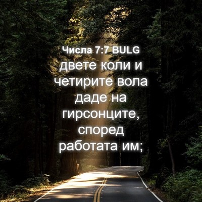 Picture 04 - Числа 7:7 BULG - двете коли и четирите вола - Bible Verse Picture