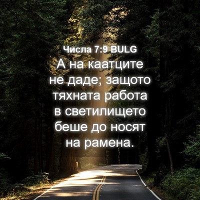 Picture 04 - Числа 7:9 BULG - А на каатците не даде; - Bible Verse Picture