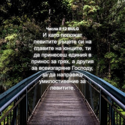 Picture 04 - Числа 8:12 BULG - И като положат левитите - Bible Verse Picture