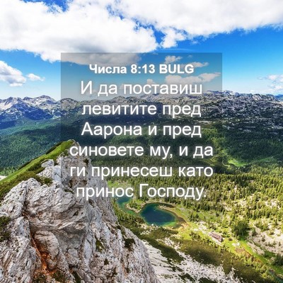 Picture 04 - Числа 8:13 BULG - И да поставиш левитите - Bible Verse Picture