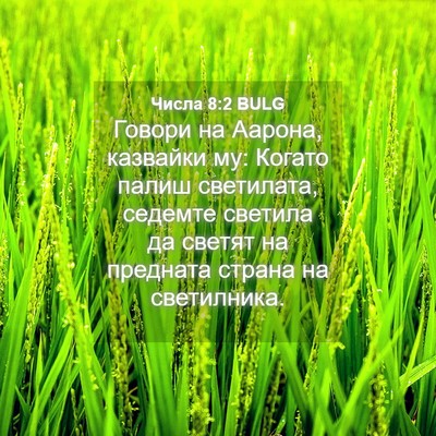 Picture 04 - Числа 8:2 BULG - Говори на Аарона, казвайки - Bible Verse Picture