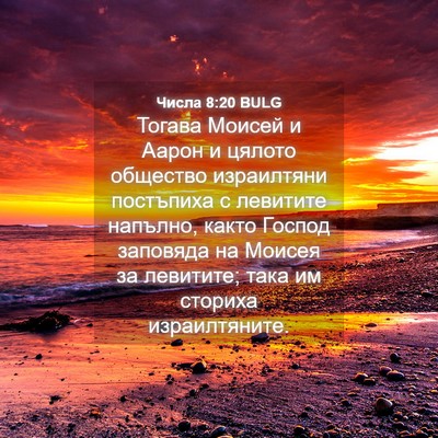 Picture 04 - Числа 8:20 BULG - Тогава Моисей и Аарон и - Bible Verse Picture