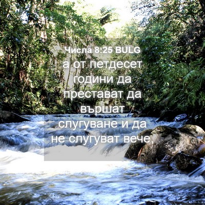 Picture 04 - Числа 8:25 BULG - а от петдесет години да - Bible Verse Picture
