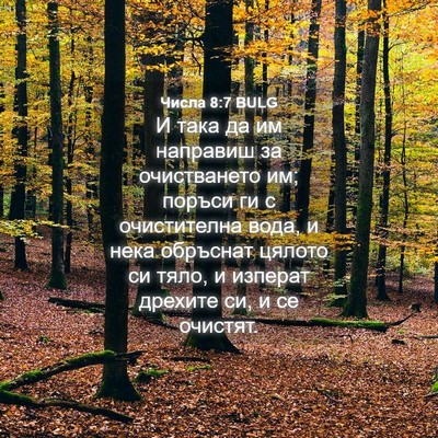 Picture 04 - Числа 8:7 BULG - И така да им направиш за - Bible Verse Picture