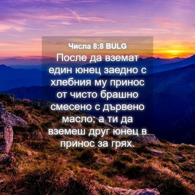 Picture 04 - Числа 8:8 BULG - После да вземат един юнец - Bible Verse Picture
