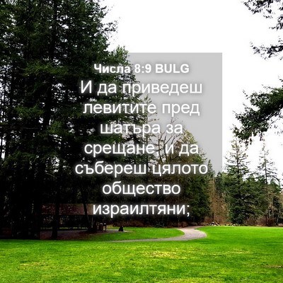 Picture 04 - Числа 8:9 BULG - И да приведеш левитите - Bible Verse Picture