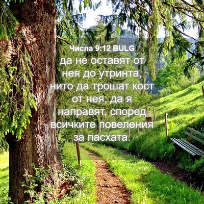 Picture 04 - Числа 9:12 BULG - да не оставят от нея до - Bible Verse Picture