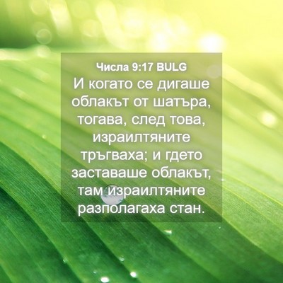 Picture 04 - Числа 9:17 BULG - И когато се дигаше облакът - Bible Verse Picture